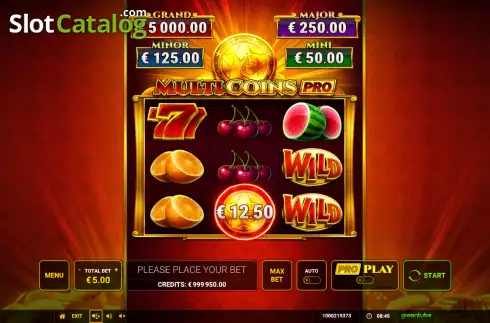 Скрин2. Multi Coins Pro слот