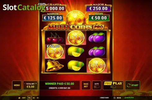 Скрин3. Multi Coins Pro слот