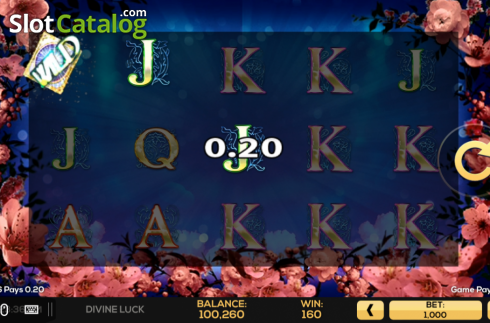 Скрин5. Divine Luck слот