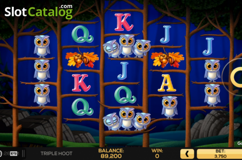 Скрин4. Triple Hoot слот
