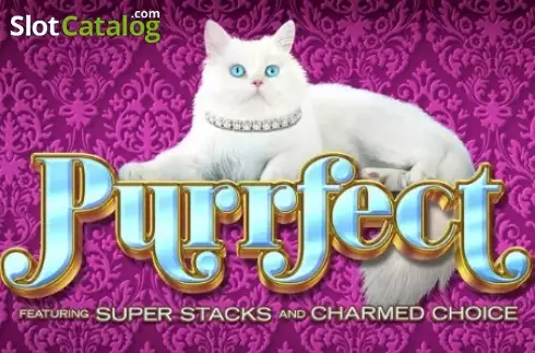 Purrfect логотип Purrfect логотип