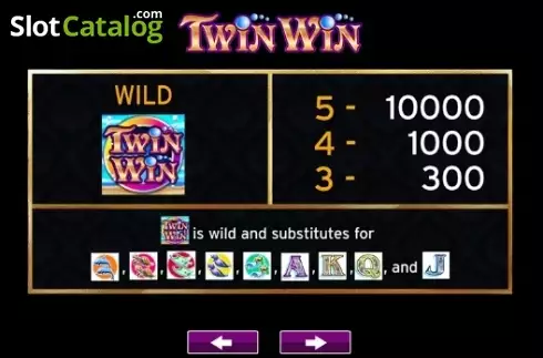 Скрин4. Twin Win слот