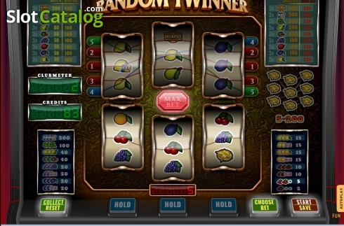 Скрин3. Random Twinner слот