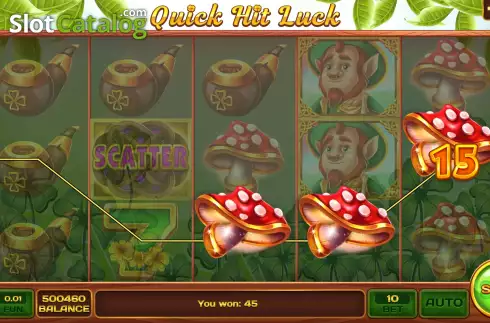Скрин3. Quick Hit Luck слот