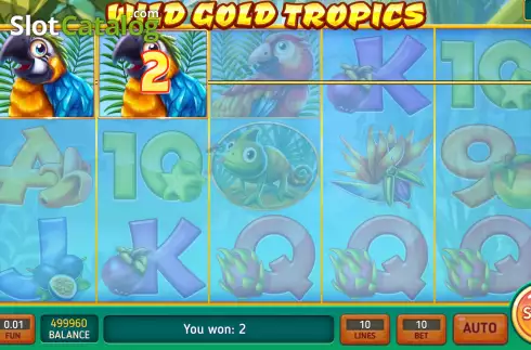 Скрин3. Wild Gold Tropics слот