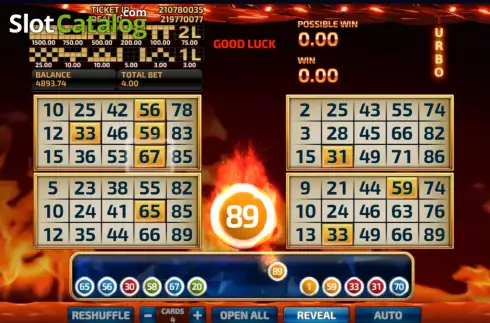 Скрин2. Firestorm Bingo слот