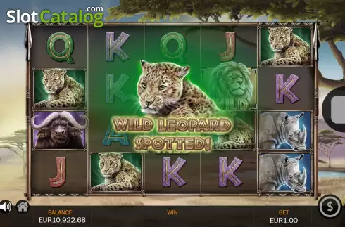 Скрин7. Savanna Roar слот