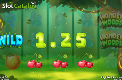 Скрин4. Wonder Woods слот