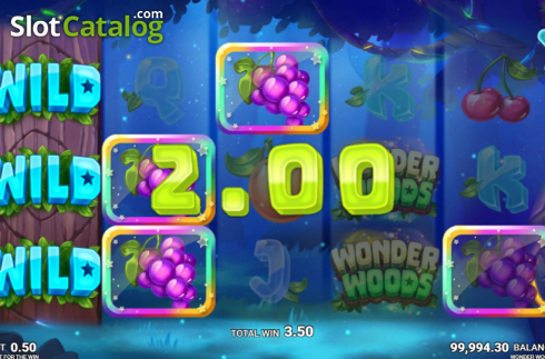 Скрин6. Wonder Woods слот