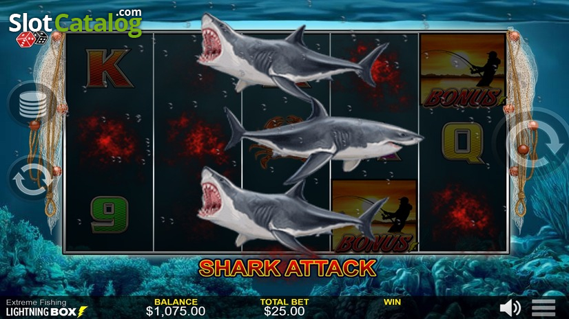 Shark Attack Shark Attack