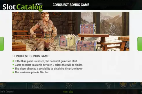 Скрин9. Vikings Conquest слот