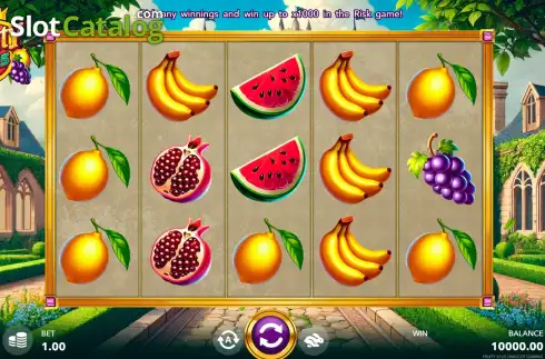 Скрин2. Fruity x125 слот
