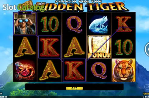 Скрин2. Diego Wild Search for the Hidden Tiger слот