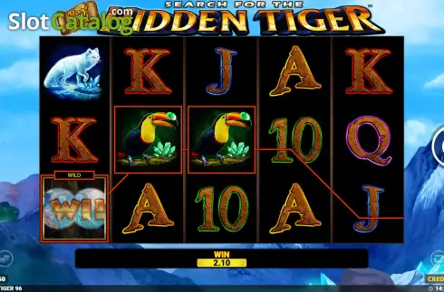 Скрин3. Diego Wild Search for the Hidden Tiger слот