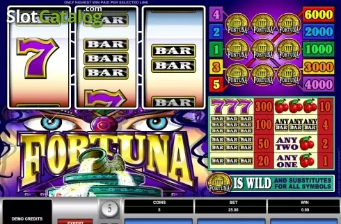Скрин2. Fortuna (Microgaming) слот