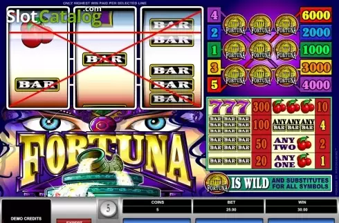 Скрин3. Fortuna (Microgaming) слот