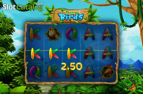 Скрин3. Tropical Birds слот