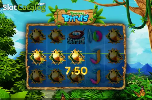 Скрин4. Tropical Birds слот