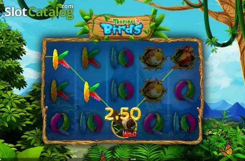 Скрин5. Tropical Birds слот