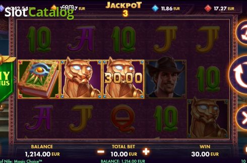 Скрин5. Book of Nile Magic Choice слот