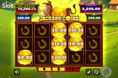 Скрин3. Jackass Coins Hold & Win Buy Bonus слот