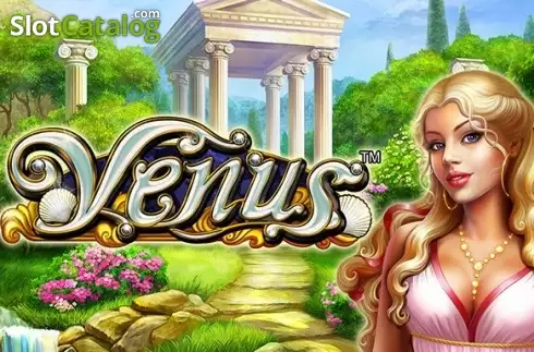 Venus логотип Venus логотип