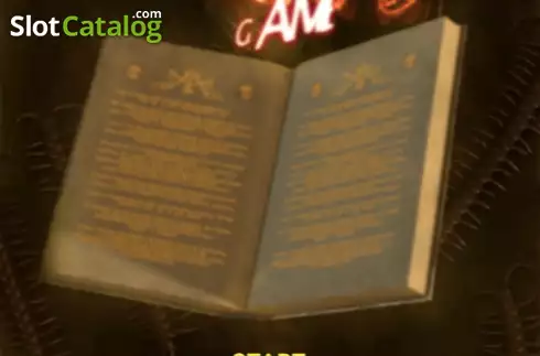 Скрин5. Book of Voodoo слот