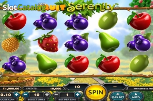 Скрин3. Fruit Serenity слот