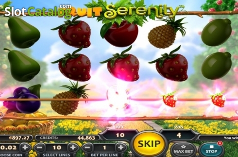 Скрин5. Fruit Serenity слот