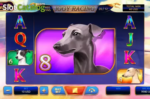 Скрин5. Iggy Racing слот