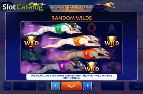 Скрин6. Iggy Racing слот
