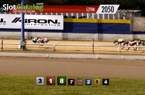 Скрин4. Platinum Hounds слот