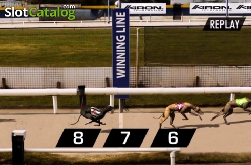 Скрин6. Platinum Hounds слот