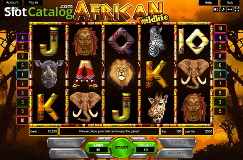 Скрин2. African Wildlife слот