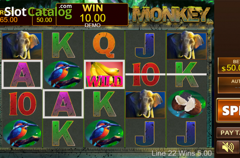 Скрин4. Monkey (PlayStar) слот