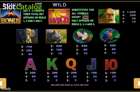 Скрин7. Monkey (PlayStar) слот