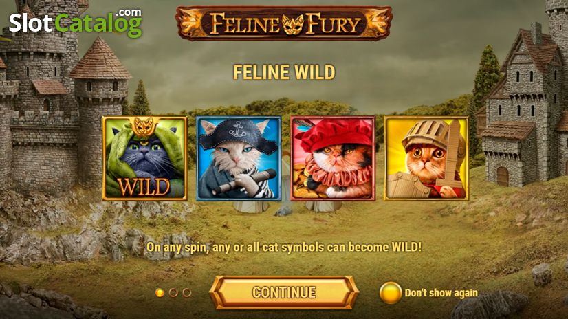Feline Fury