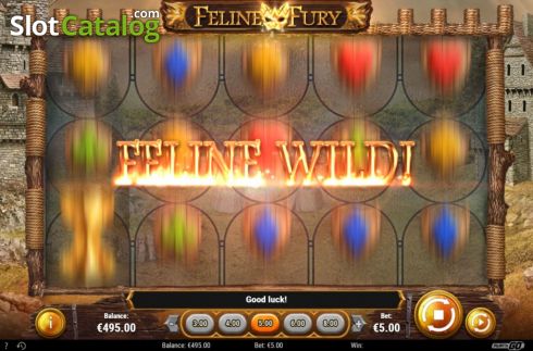 Скрин4. Feline Fury слот