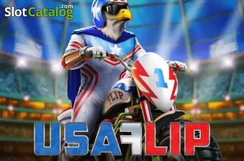 USA Flip Play'n Go
