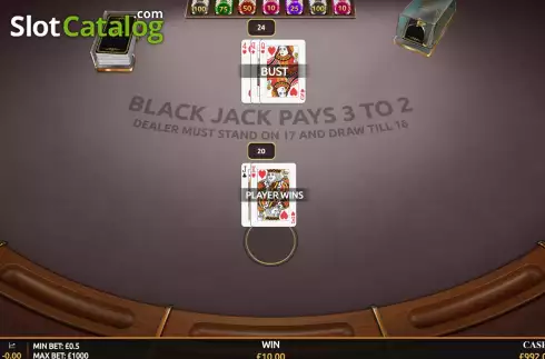 Скрин5. Blackjack (Playnova) слот