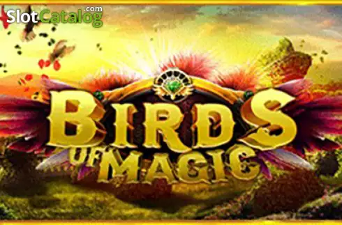 Birds of Magic логотип Birds of Magic логотип