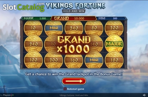 Скрин2. Vikings Fortune: Hold and Win слот