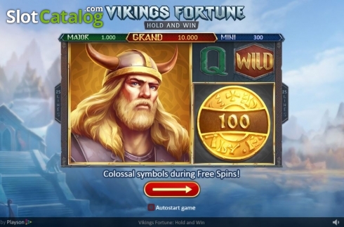 Скрин3. Vikings Fortune: Hold and Win слот