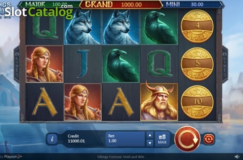 Скрин4. Vikings Fortune: Hold and Win слот