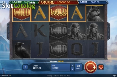 Скрин5. Vikings Fortune: Hold and Win слот