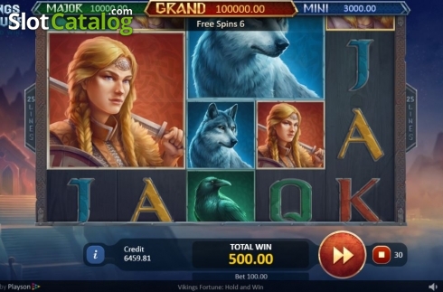 Скрин7. Vikings Fortune: Hold and Win слот