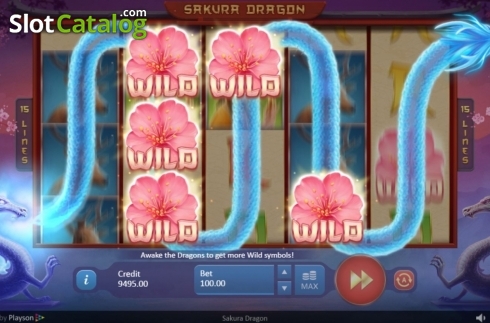Скрин3. Sakura Dragon слот