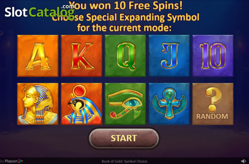 Скрин6. Book of Gold: Symbol Choice слот