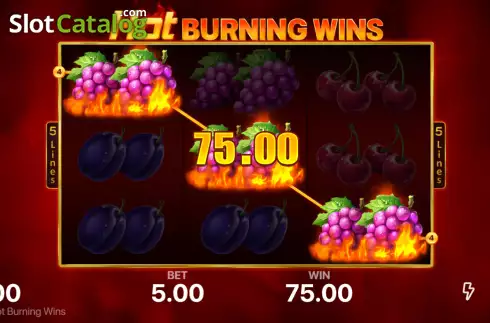 Скрин3. Hot Burning Wins слот