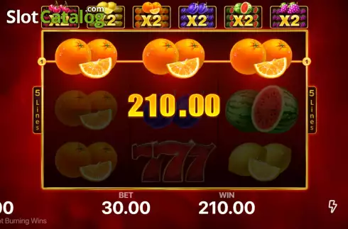 Скрин4. Hot Burning Wins слот